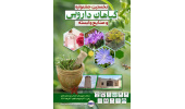 نخستین جشنواره گیاهان دارویی و صنایع وابسته در خنداب برپا می‌شود
