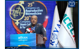 جایگاه خوب محققان و پژوهشگاه رویان جهاددانشگاهی در درجه‌بندی‌های علمی دنیا