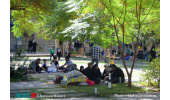 جهاددانشگاهی خراسان رضوی میزبان زائران پیاده امام رضا(ع)