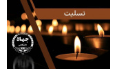 پیام تسلیت رئیس جهاددانشگاهی به دکتر غلامعلی حداد عادل