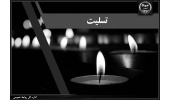 پیام تسلیت رئیس جهاددانشگاهی در پی درگذشت دکتر اشرف بروجردی